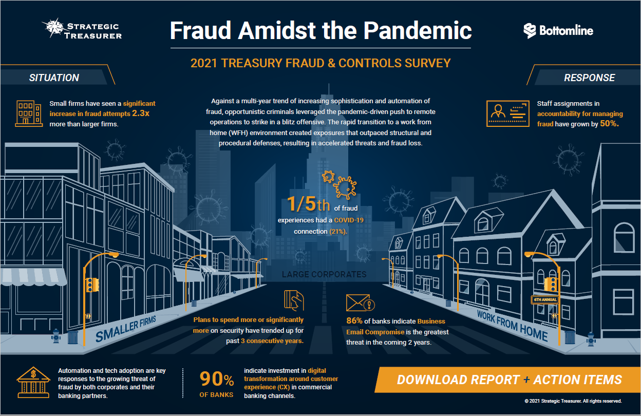 Pandemic Fraud Infographic