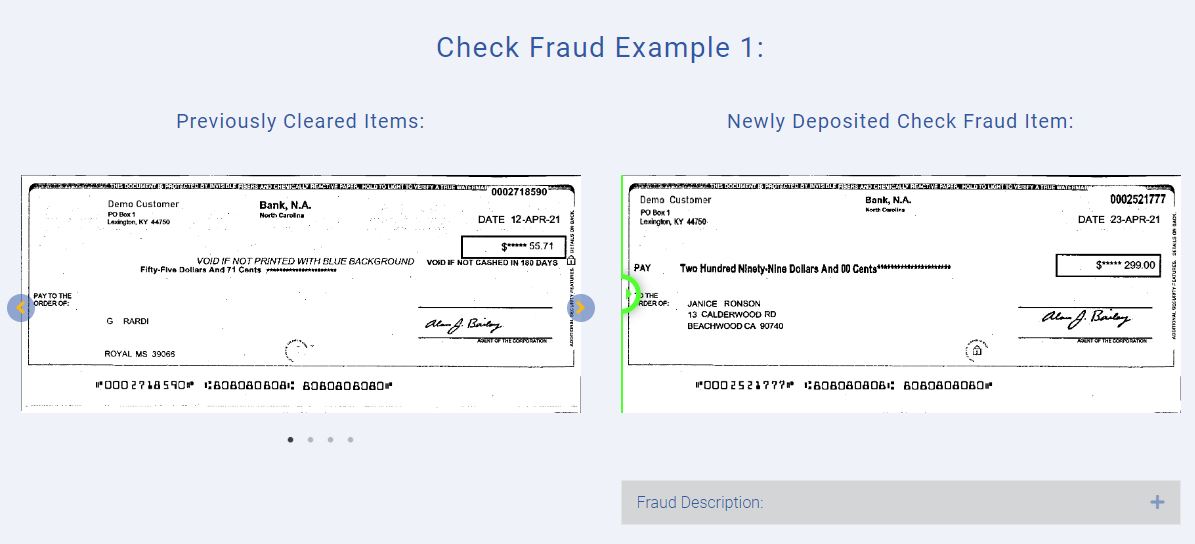 check fraud challenge 2