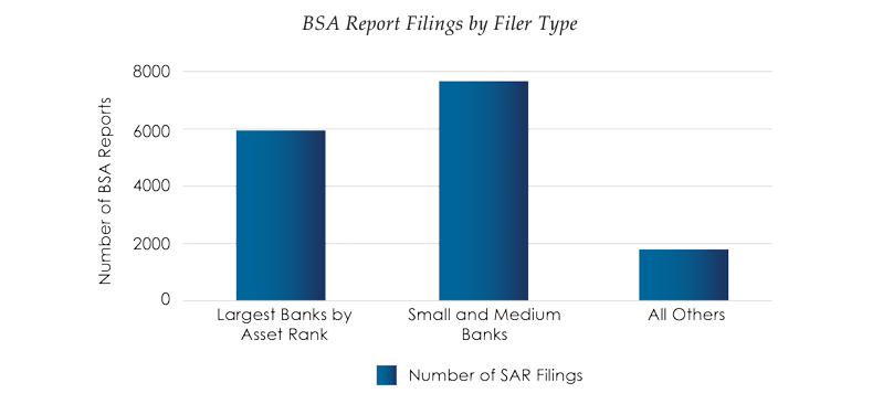 BSA Report