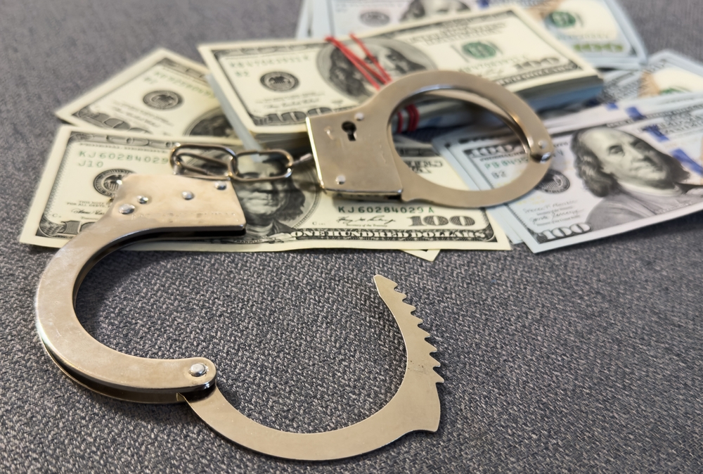 Financial,Crime,,Fraud,,Money,Laundering,,Corruption,,Or,Law,Enforcement,:Mule