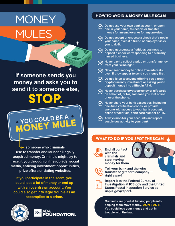 2024-ABA-Money-Mule-Infographic_Consumer